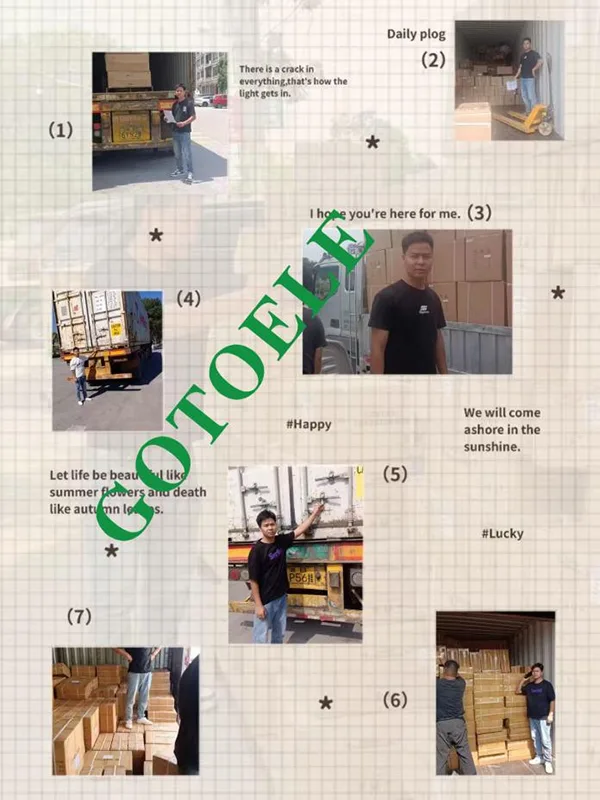 EOCR-SS Electronic Motor Protection Relay